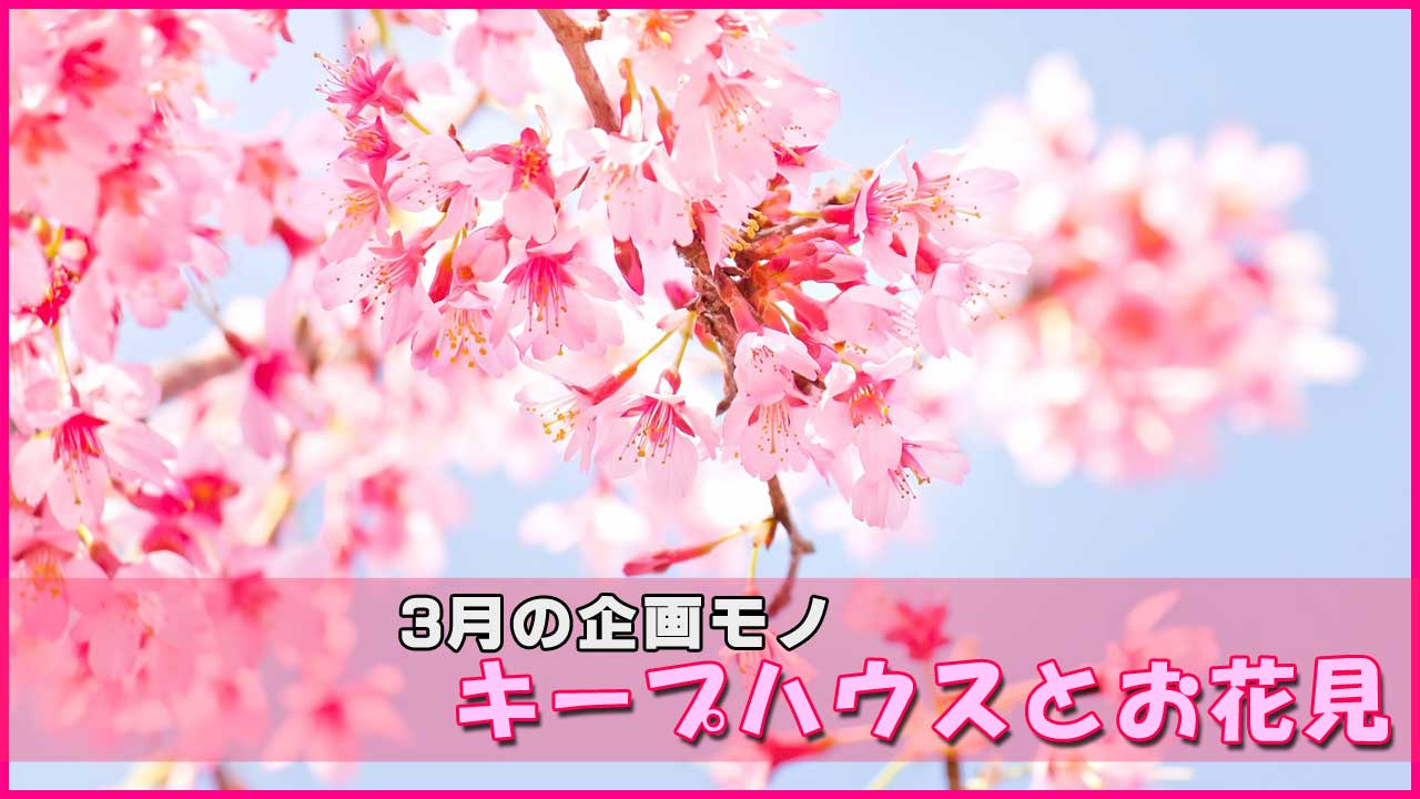 【中止】３月の企画モノ　キープハウスとお花見【中止】
